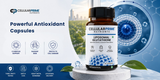 powerful antioxidant capsules