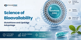 Liposomal glutathione bioavailability