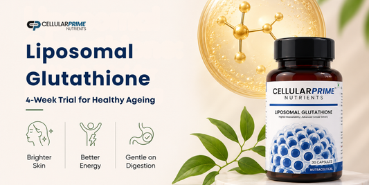 Taking Glutathione Supplement? Here's What To Avoid – Cellular Prime