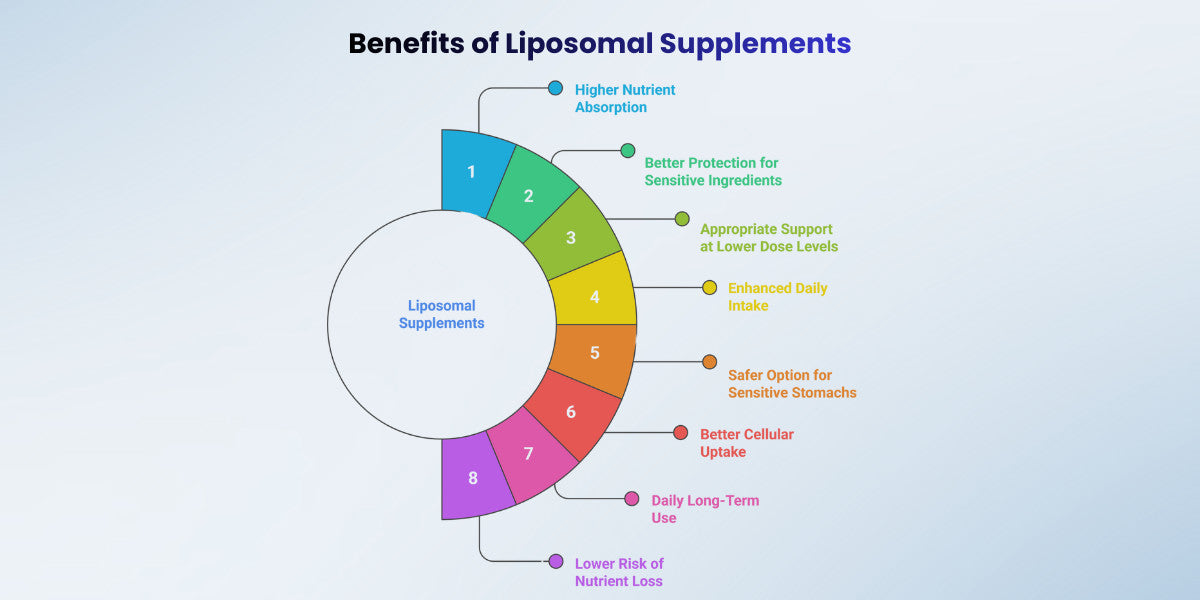 Top 10 Liposomal Supplements Benefits: Explained – Cellular Prime