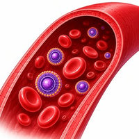 The Bloodstream