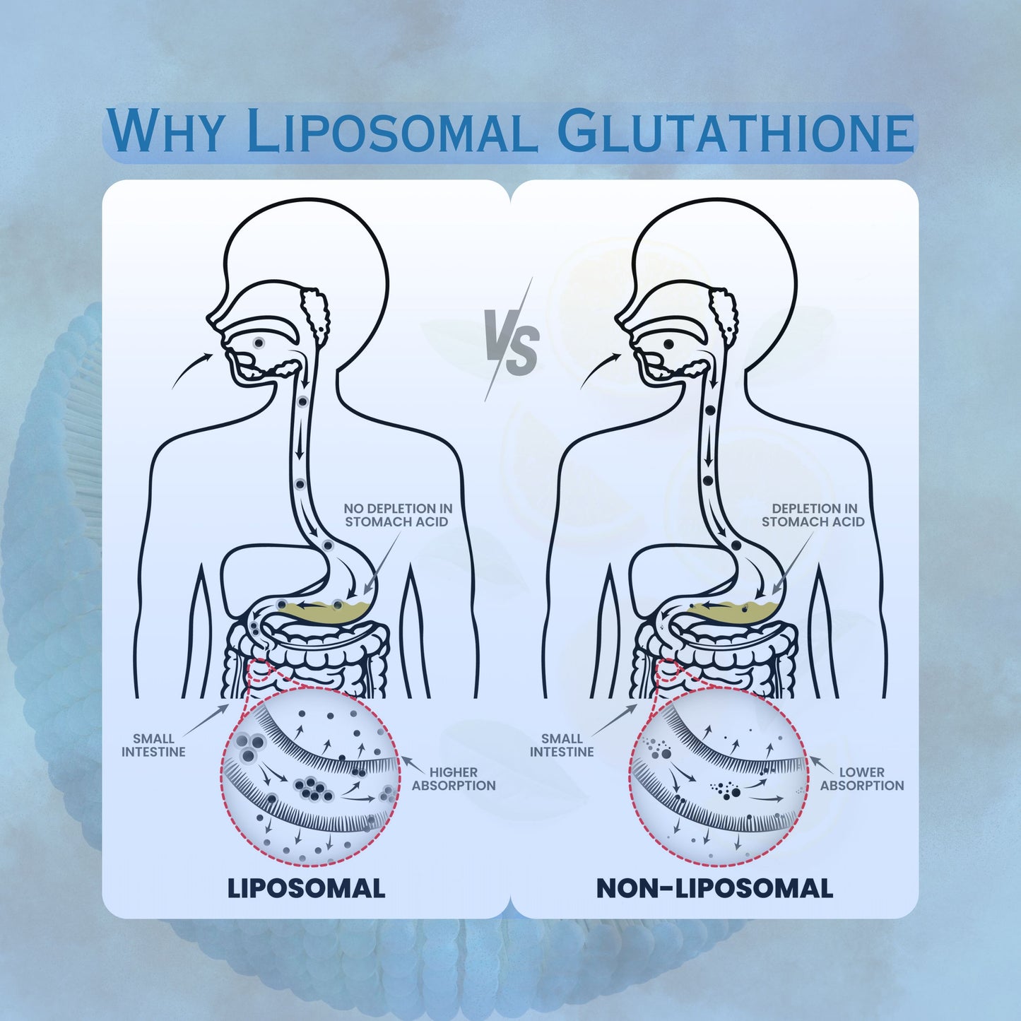 Liposomal Glutathione 650mg | High-Absorption Antioxidant for Skin Glow & Detox