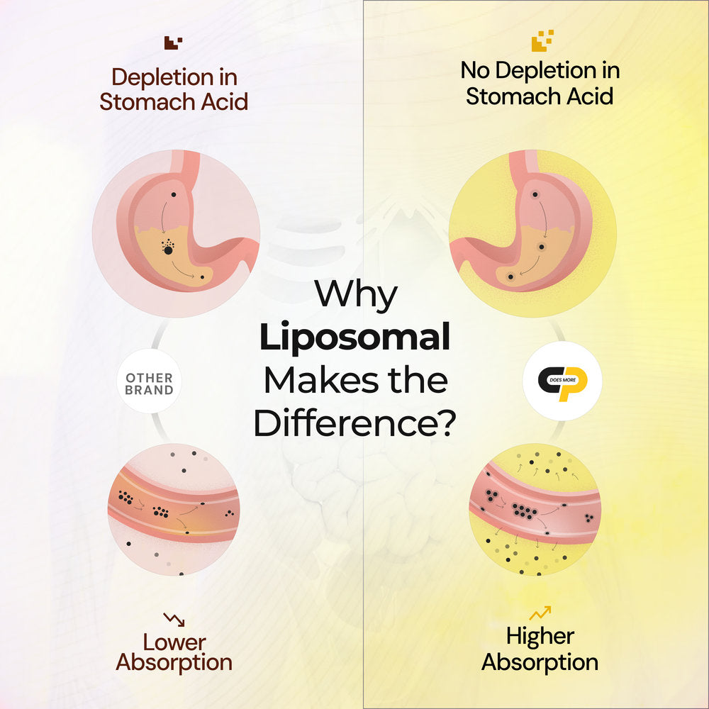 Liposomal Curcumin for Consistent Joint Support & Absorption