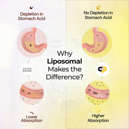 Liposomal Curcumin for Consistent Joint Support & Absorption