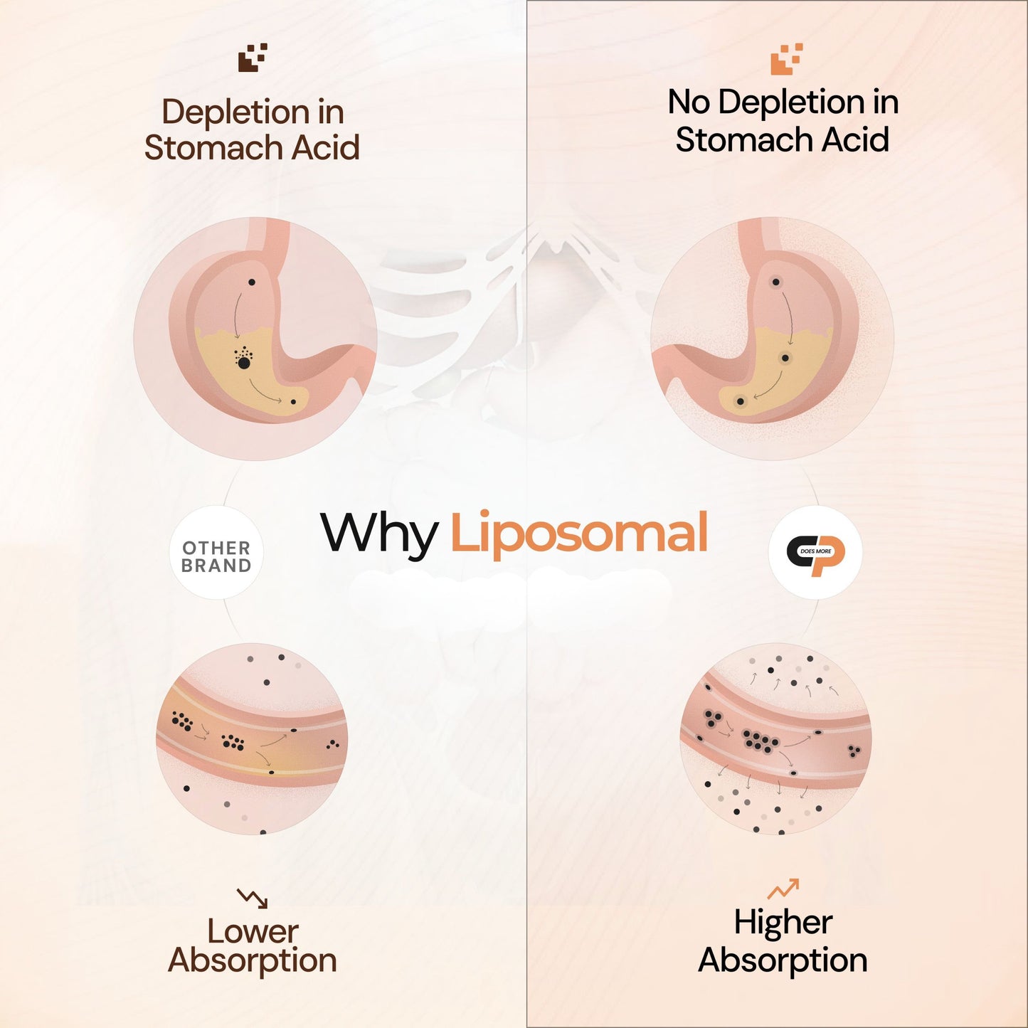 Liposomal Duo: Inner Glow & Skin Brightening From Within
