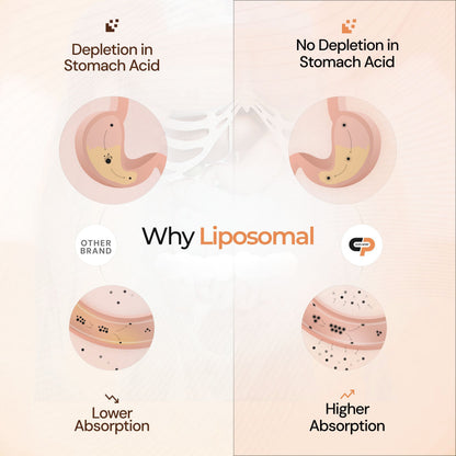Liposomal Duo: Inner Glow & Skin Brightening From Within