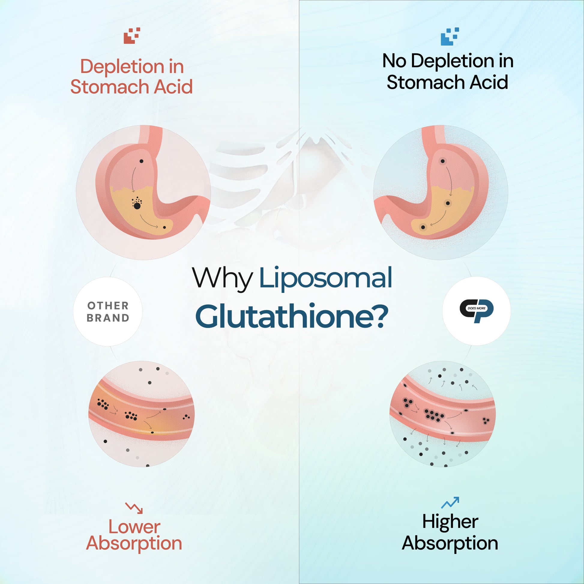 Best Liposomal Glutathione for Antioxidant Support Cellular Prime Best Liposomal Glutathione for Antioxidant Support Cellular Prime