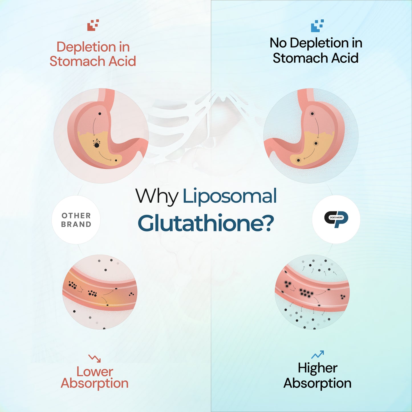 Liposomal Glutathione for Antioxidant Support